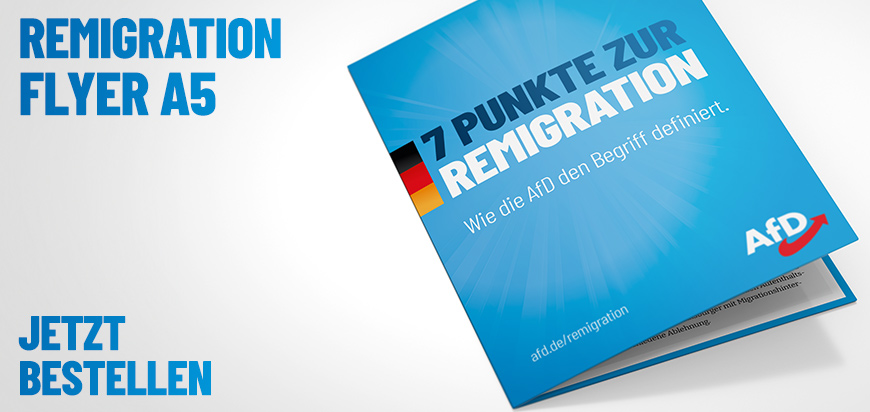 AfD_Slider_Remigration